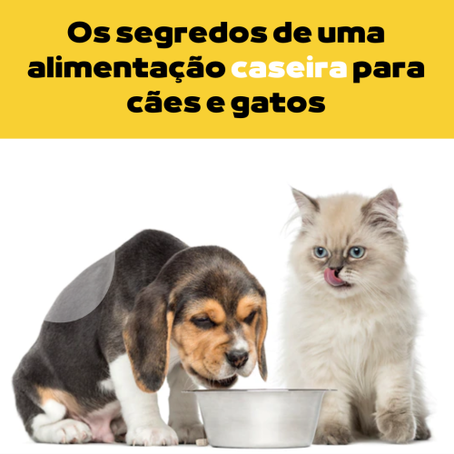 Capa Bonus
